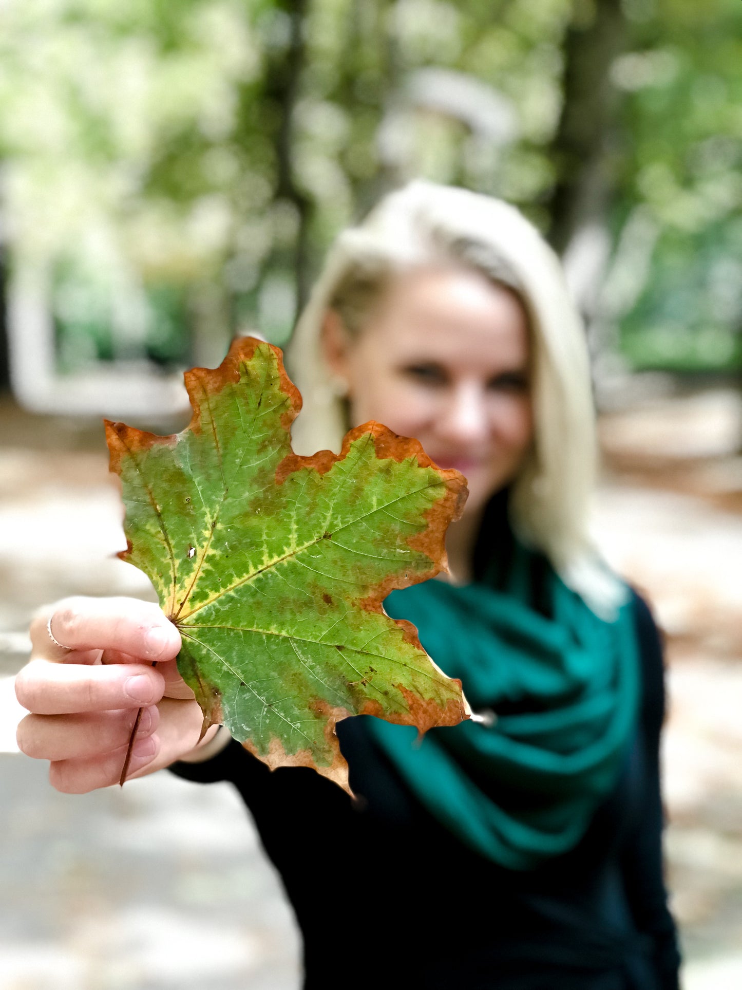 FOREST // Travel Scarf