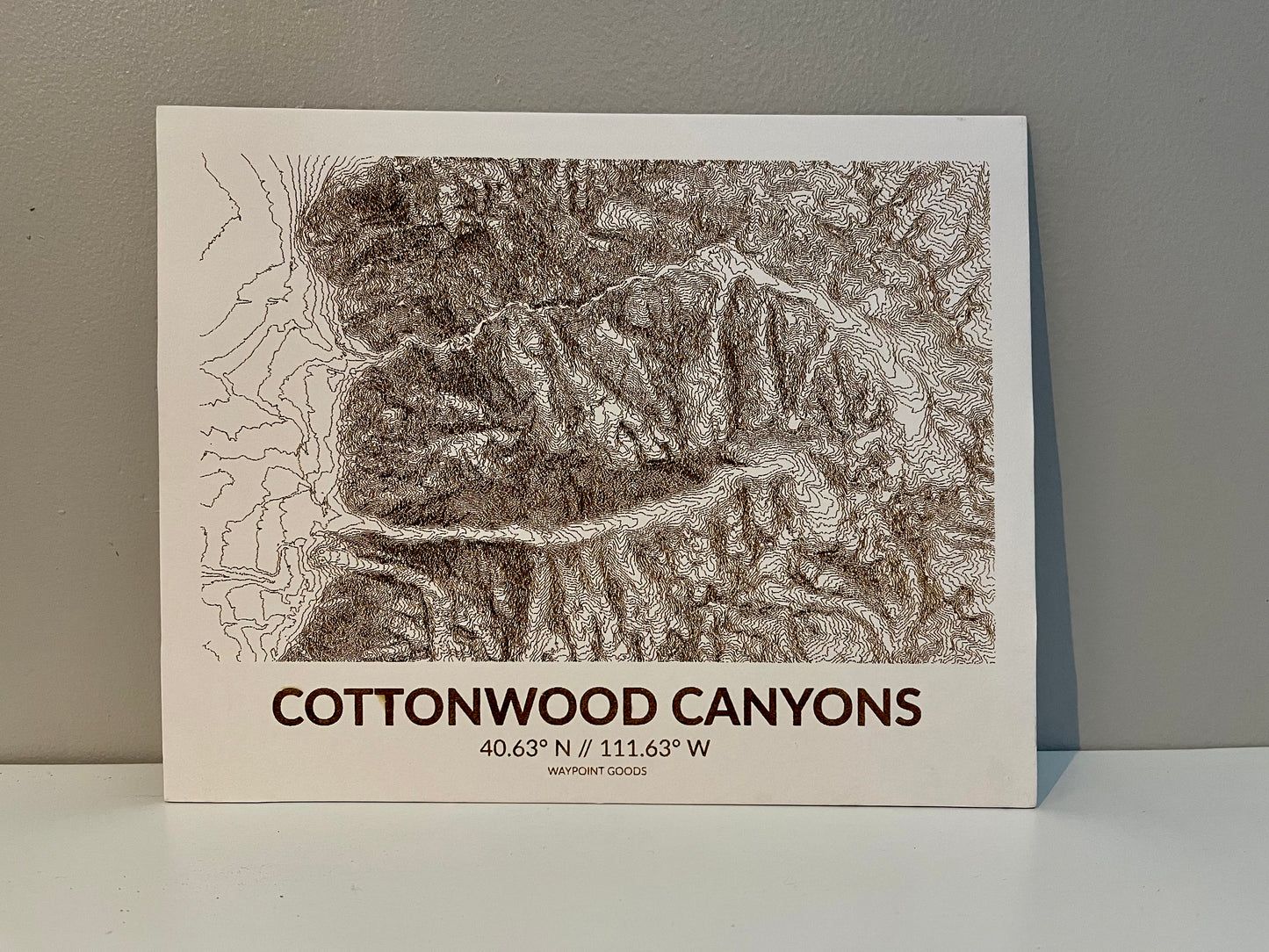 Cottonwood Canyons // Topo Map