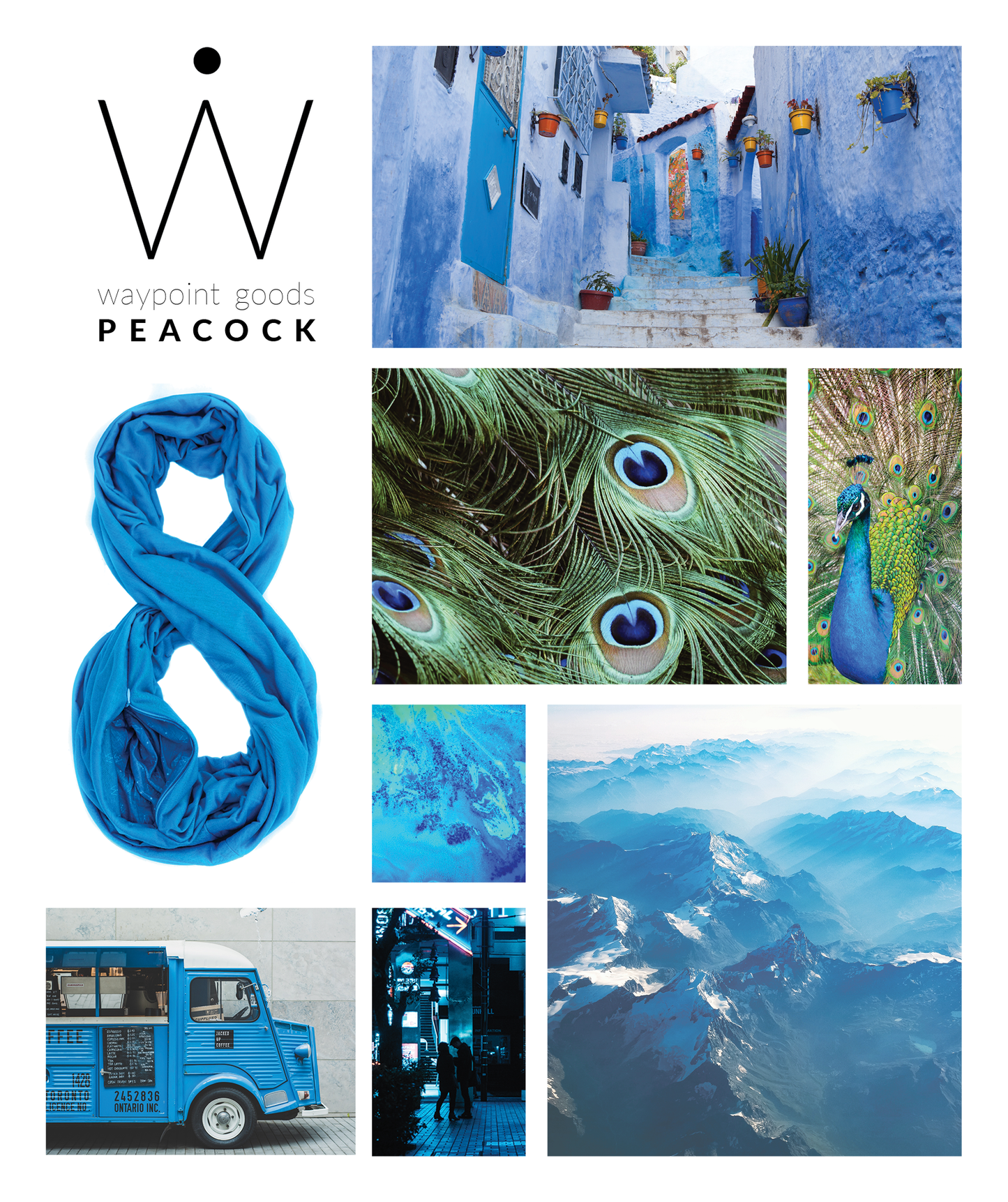 PEACOCK // Travel Scarf