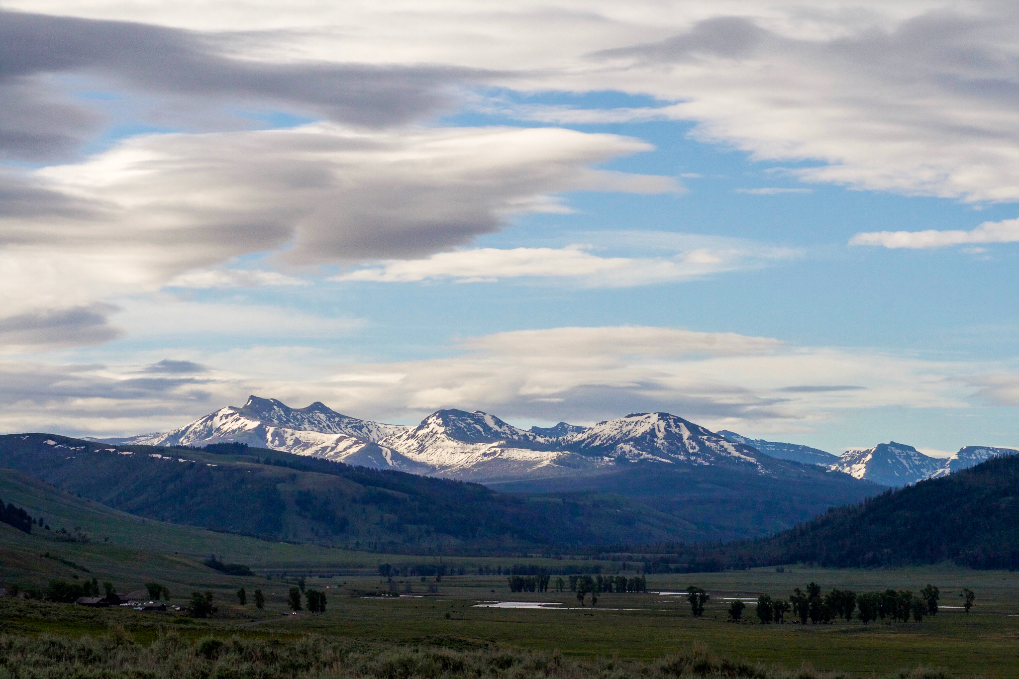 The valley of Yellowstone National Park with mountains in the background