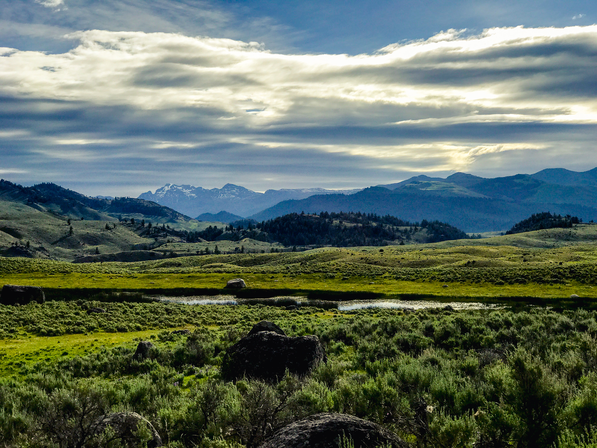 Yellowstone National Park near the Northeast Entrance with views of a meadow with a creek and mountains in the distance