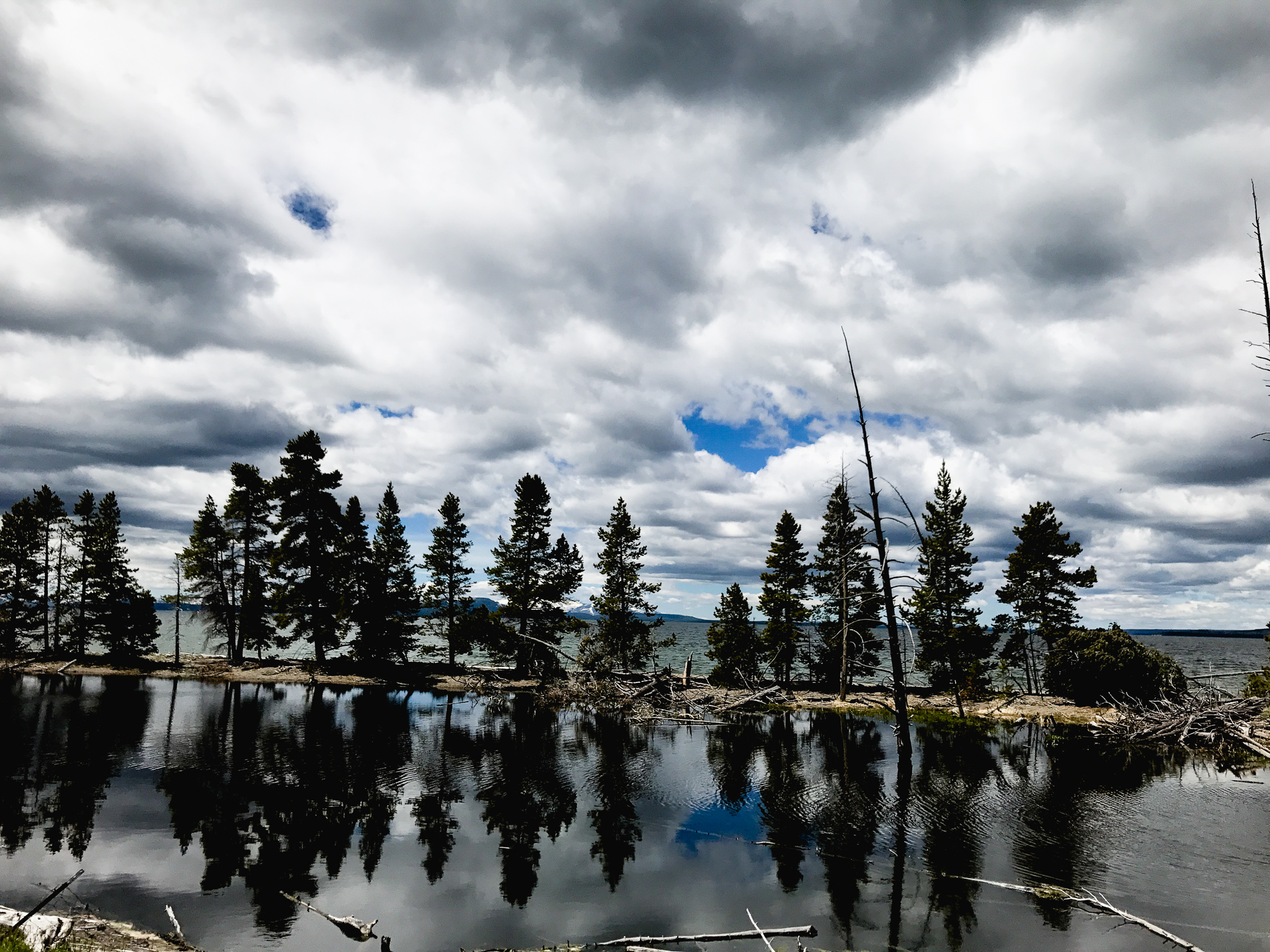 Yellowstone Lake in Yellowstone National Park with reflection of trees and mountains in the distance